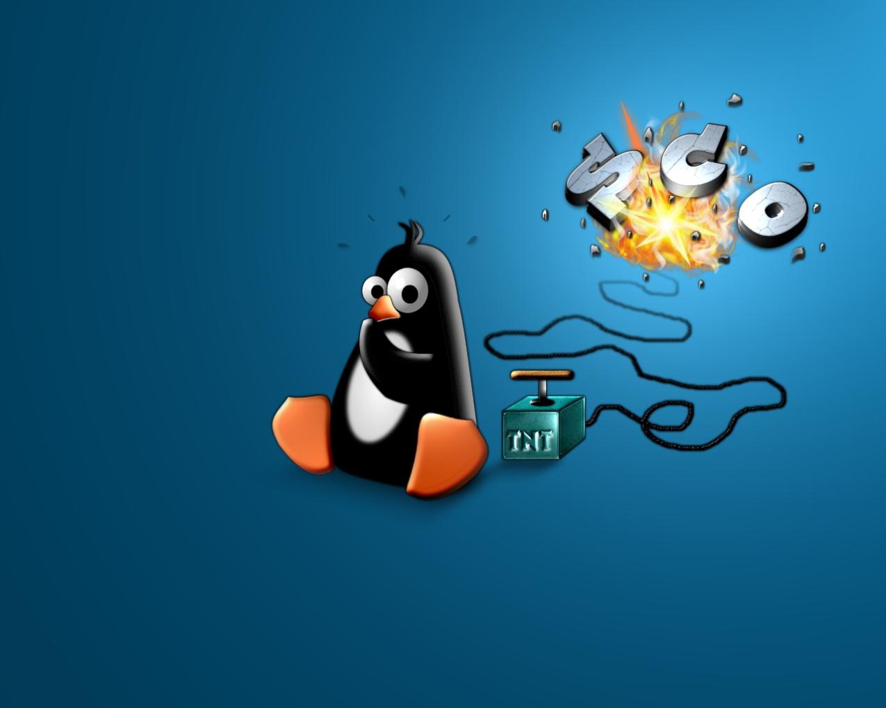 ما هي الأخطاء الأكثر شيوعًا في سطر أوامر Linux وكيف يمكنني إصلاحها؟